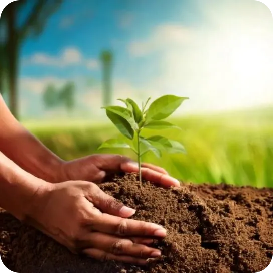 Planted Image